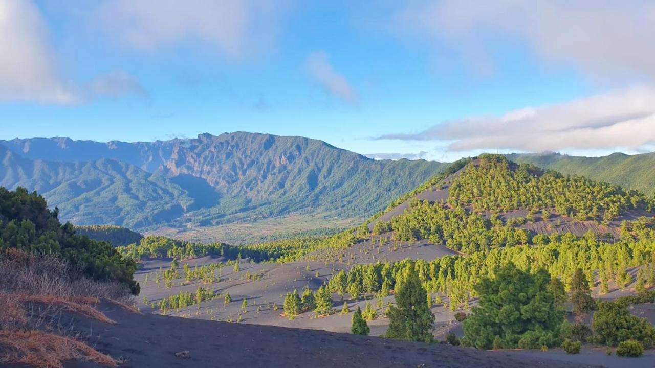 Finca Maracuya El Paso Dış mekan fotoğraf