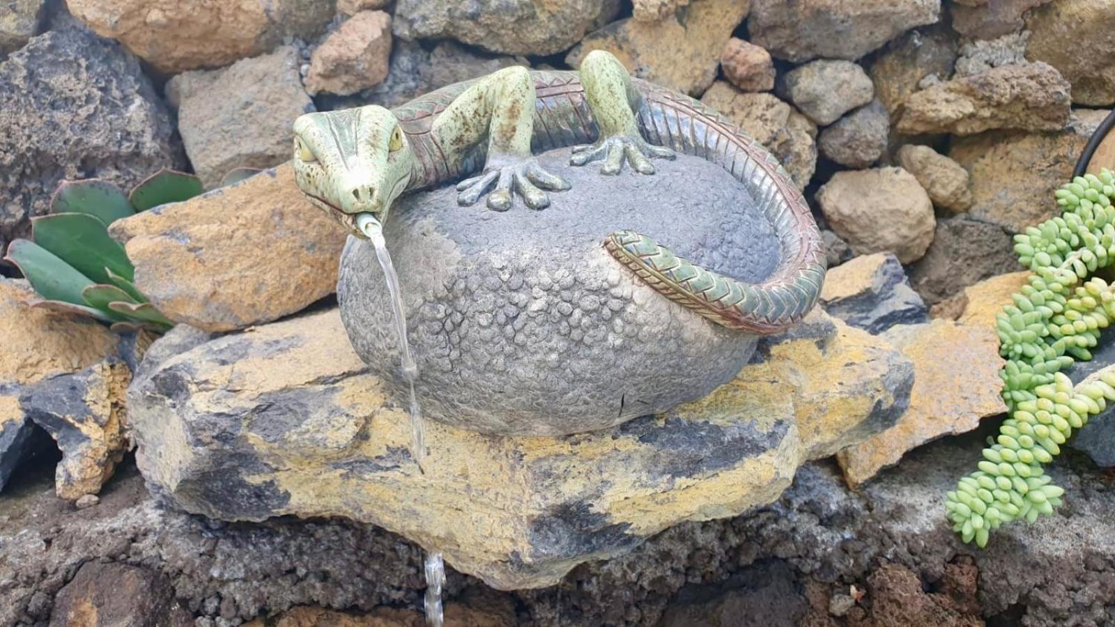 Finca Maracuya El Paso Dış mekan fotoğraf